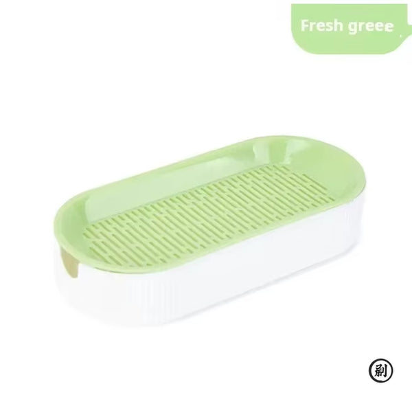 Cat Health & Wellness